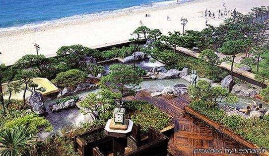 Rio Roiss Rio de Janeiro